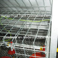 Chicken Farm Pullet Chicken Cage (Neuer Typ)